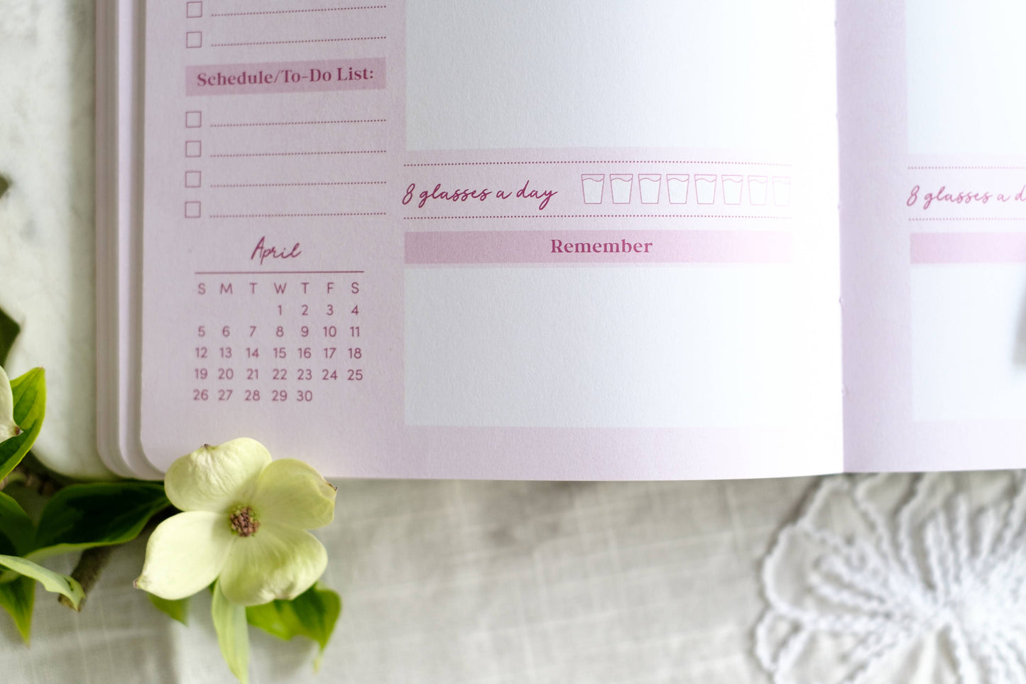 Read Through the Bible in a Year Planner – 2026 Edition