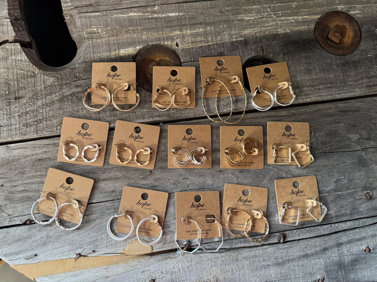 Hoop, There It Is! Earring Collection