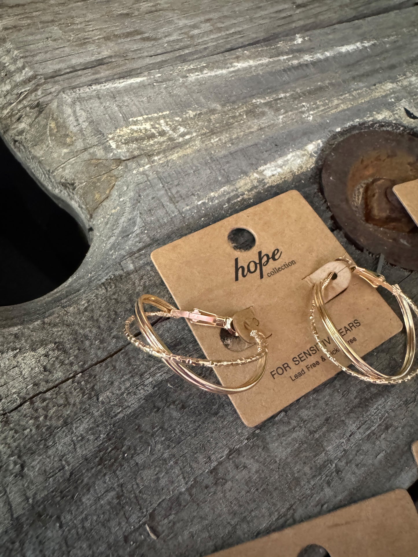 Hoop, There It Is! Earring Collection