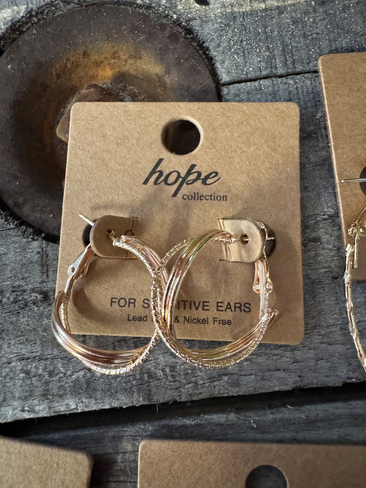 Hoop, There It Is! Earring Collection