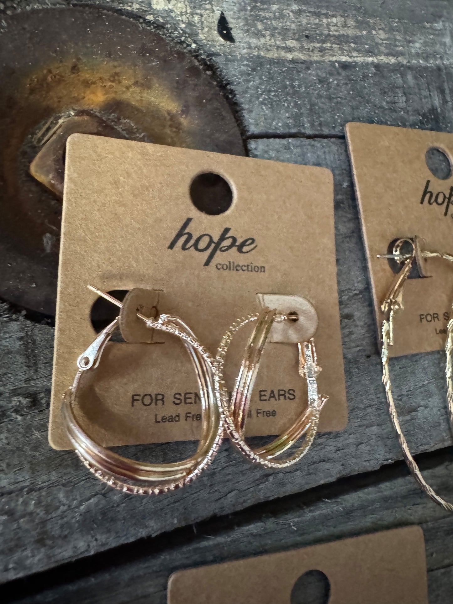 Hoop, There It Is! Earring Collection