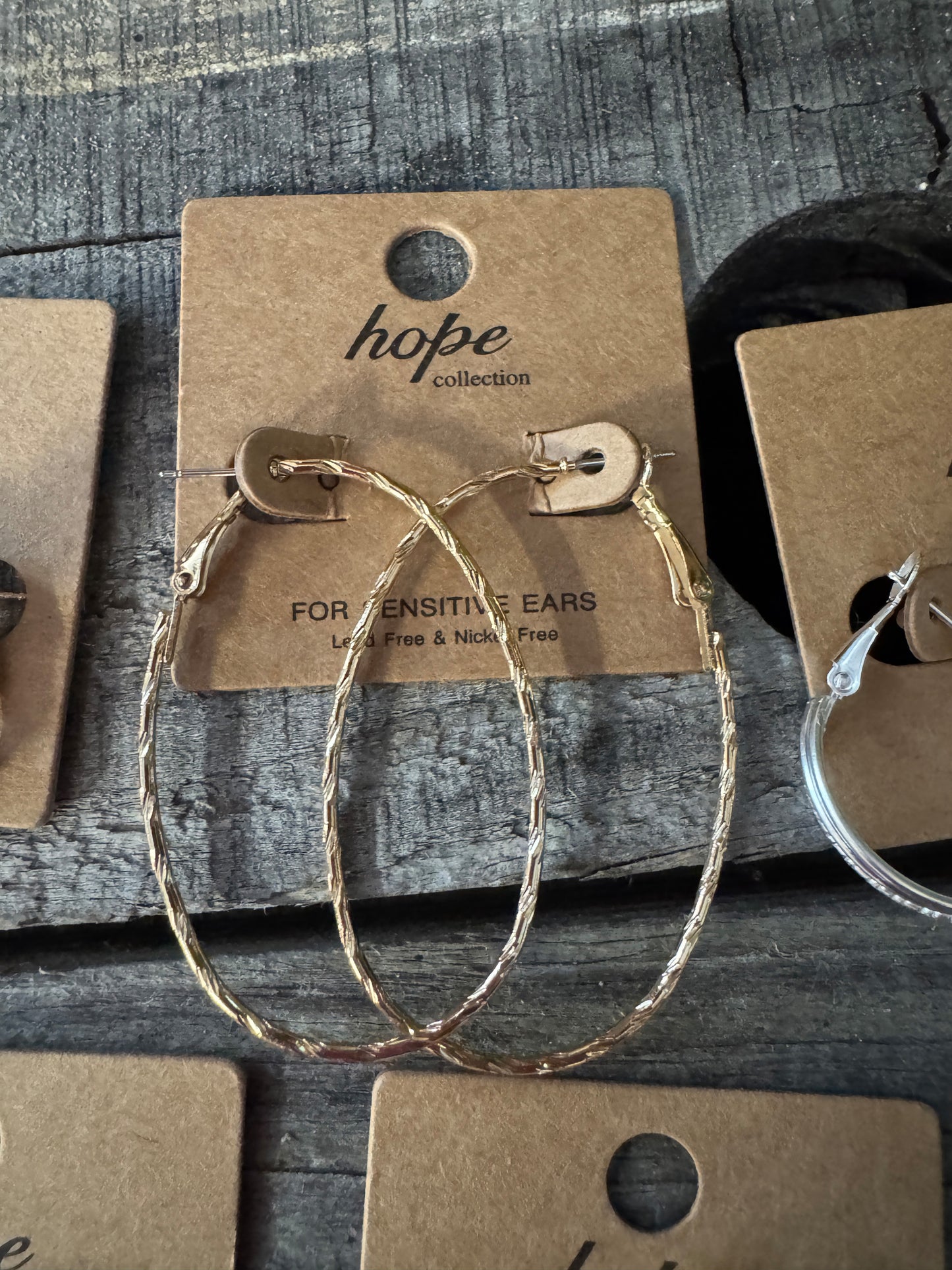 Hoop, There It Is! Earring Collection