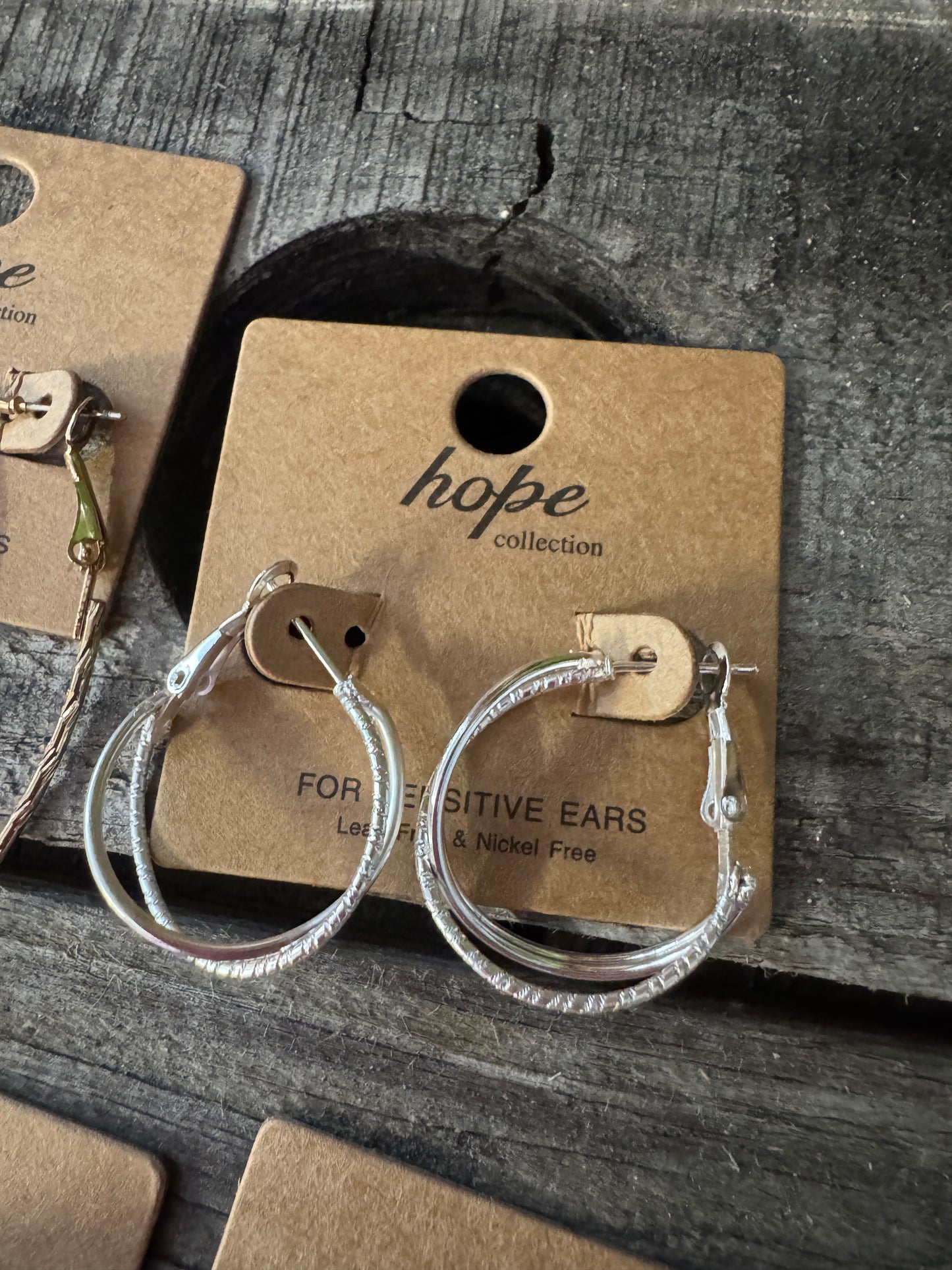 Hoop, There It Is! Earring Collection
