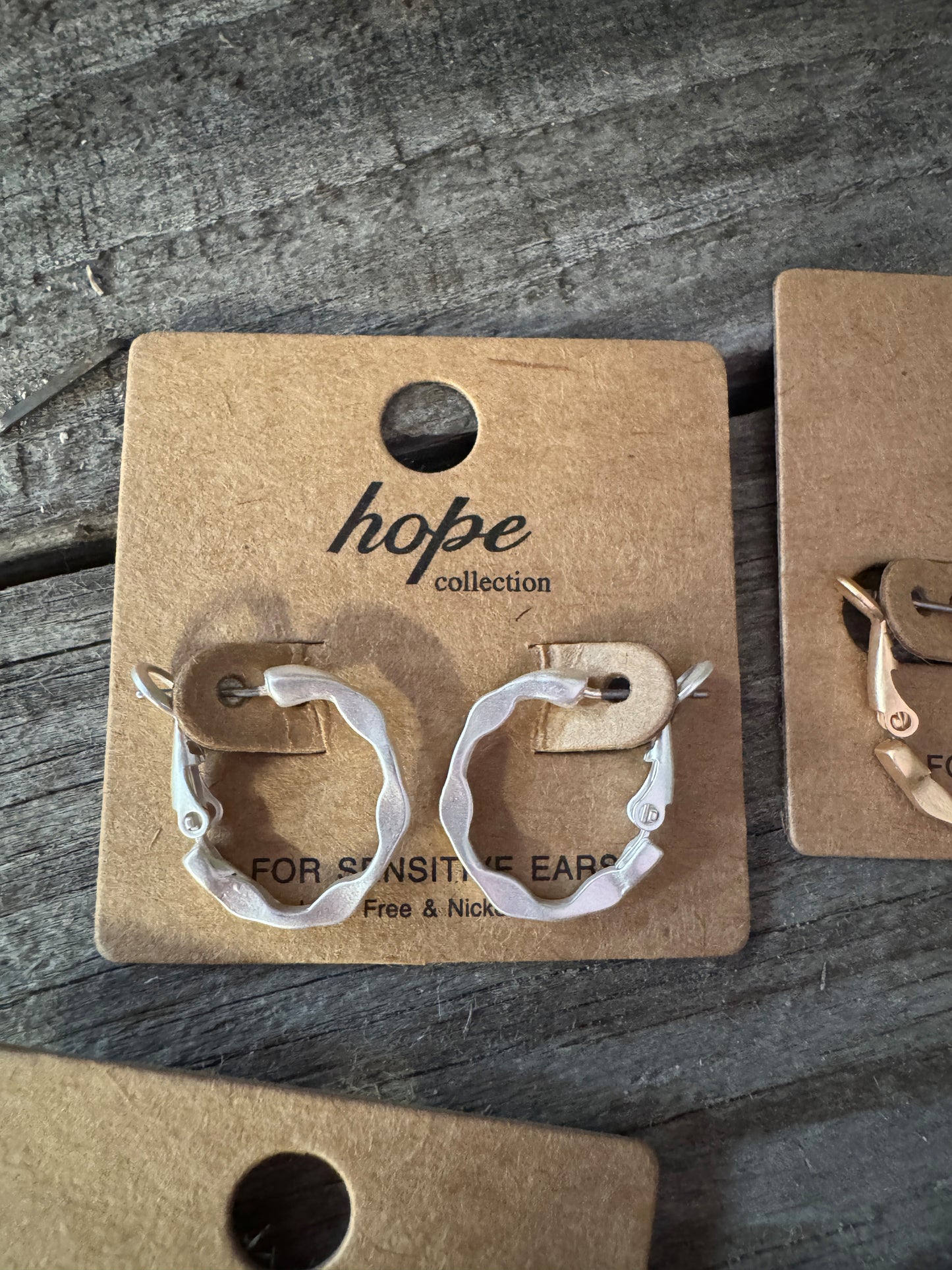 Hoop, There It Is! Earring Collection