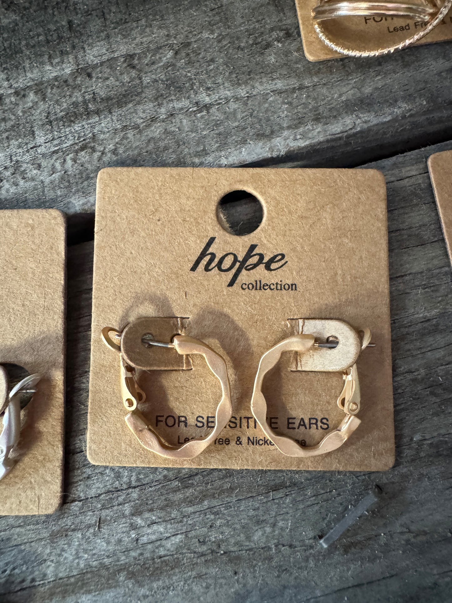 Hoop, There It Is! Earring Collection