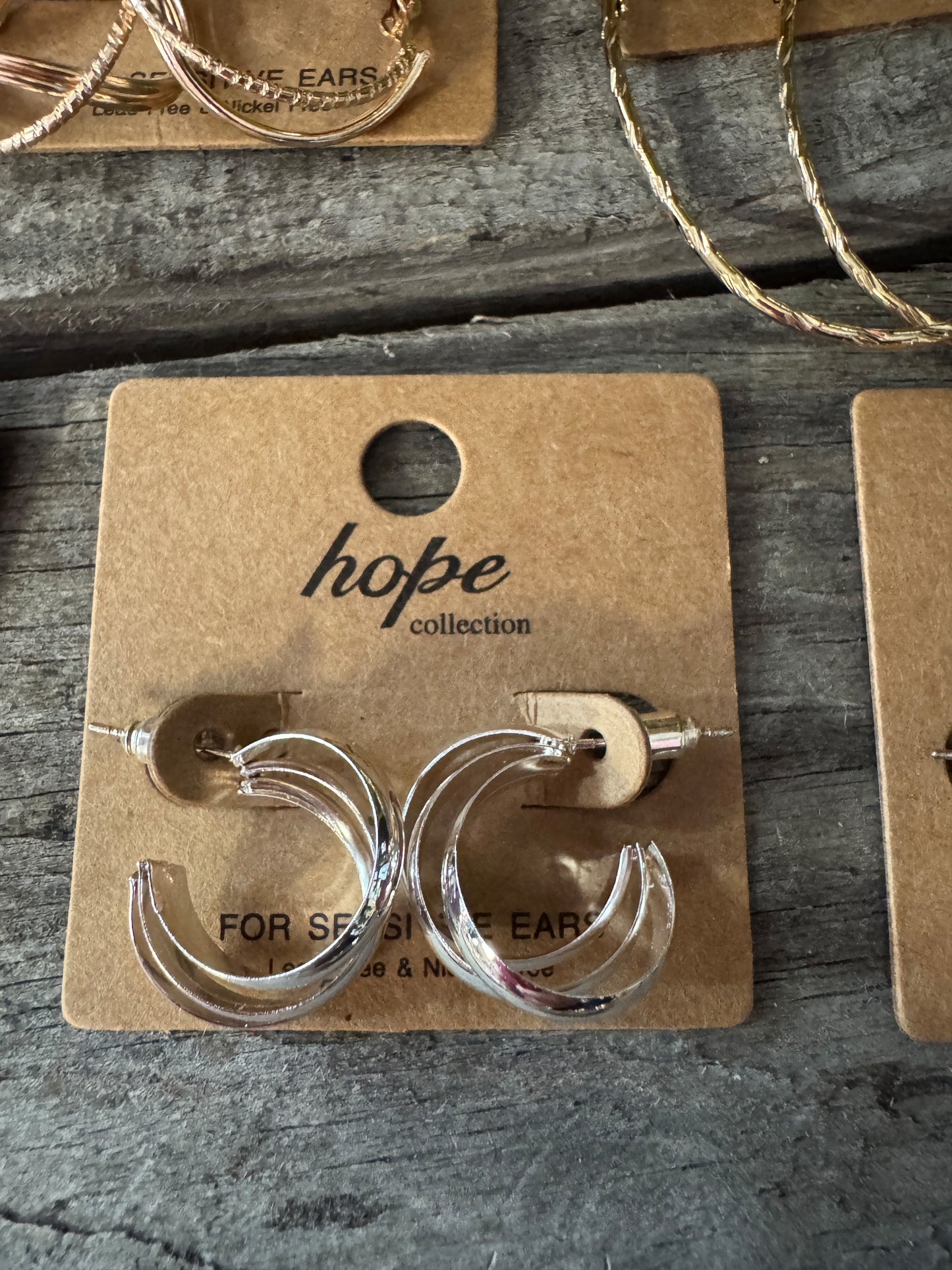 Hoop, There It Is! Earring Collection