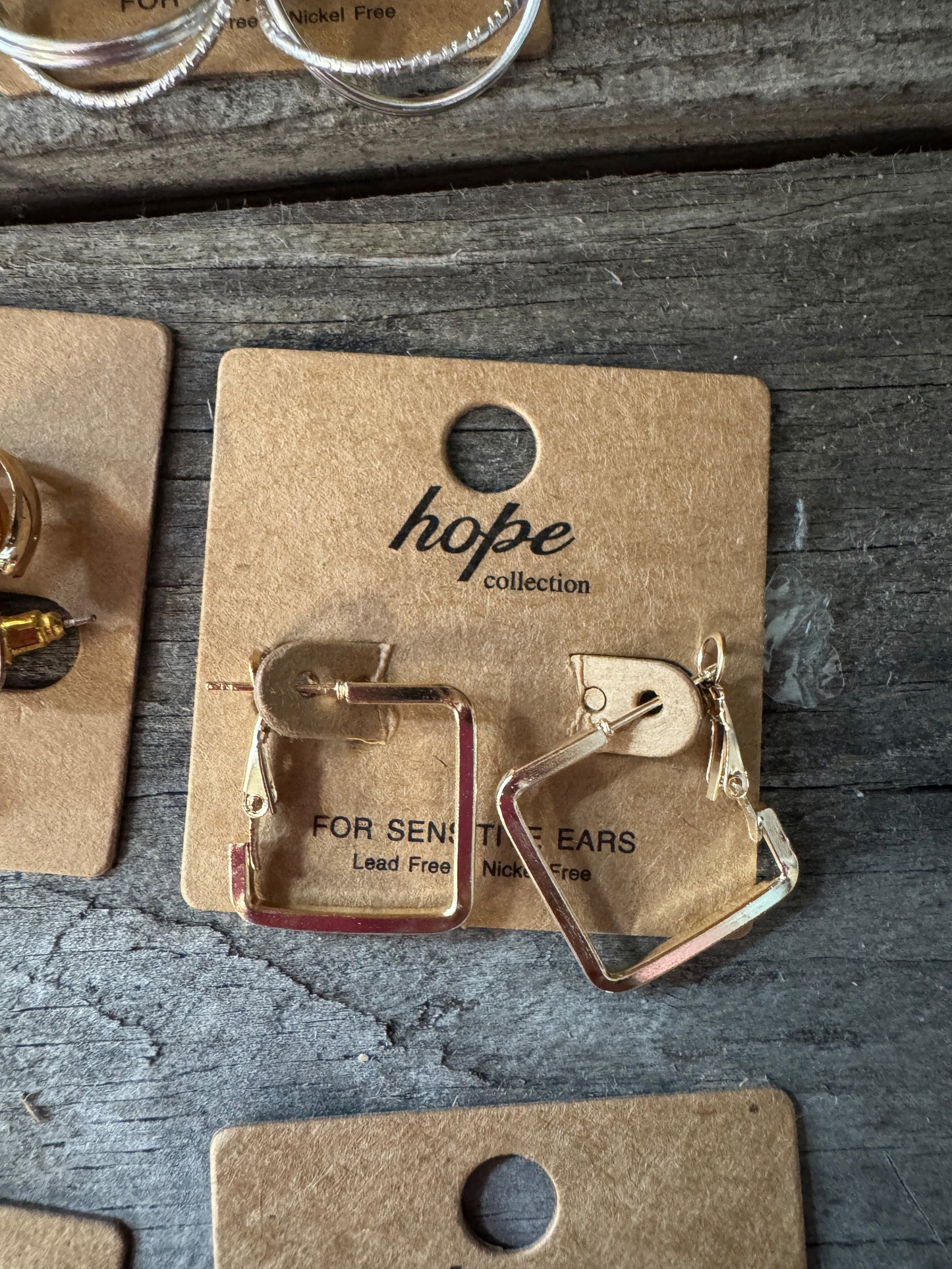 Hoop, There It Is! Earring Collection