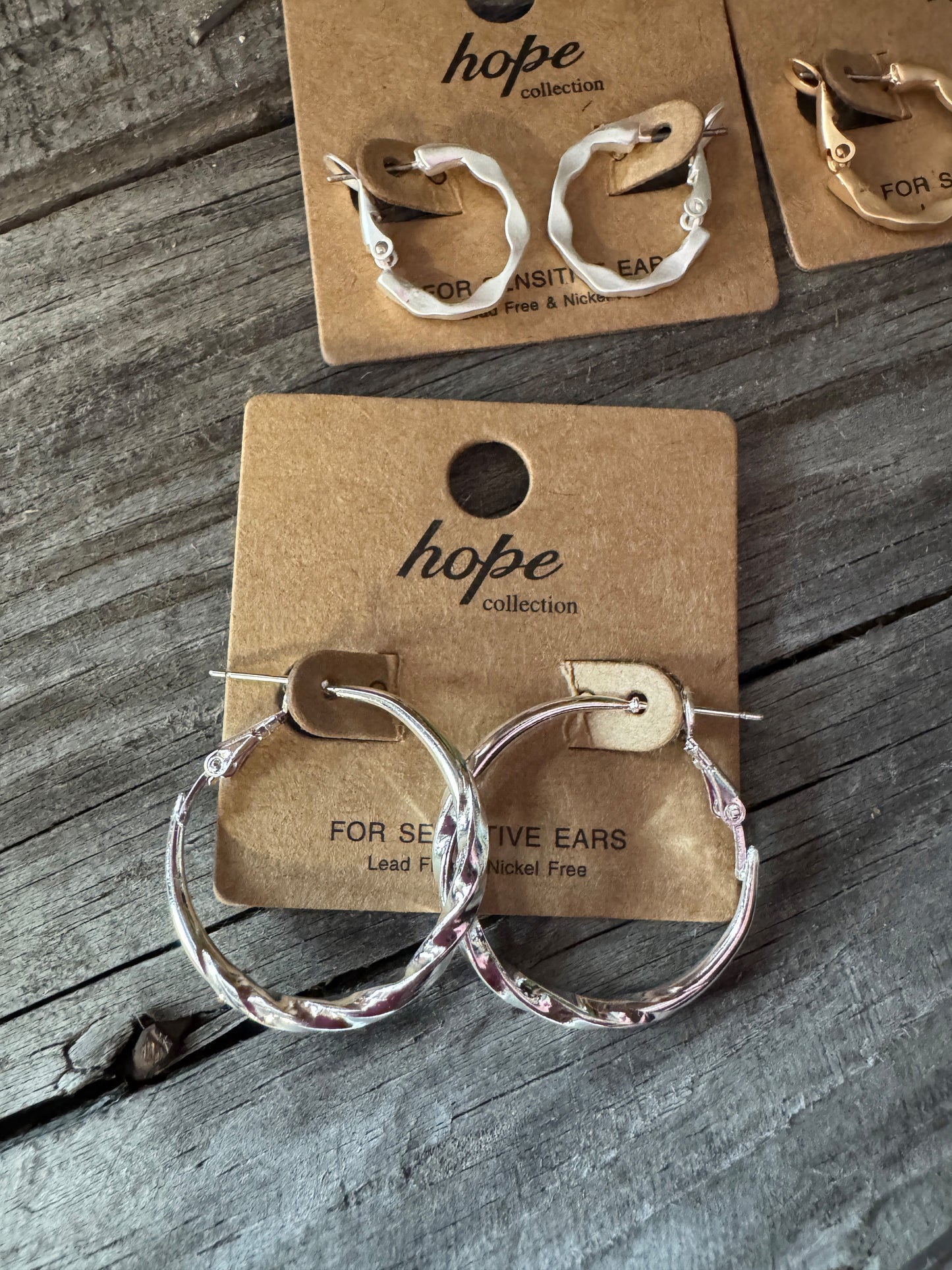 Hoop, There It Is! Earring Collection