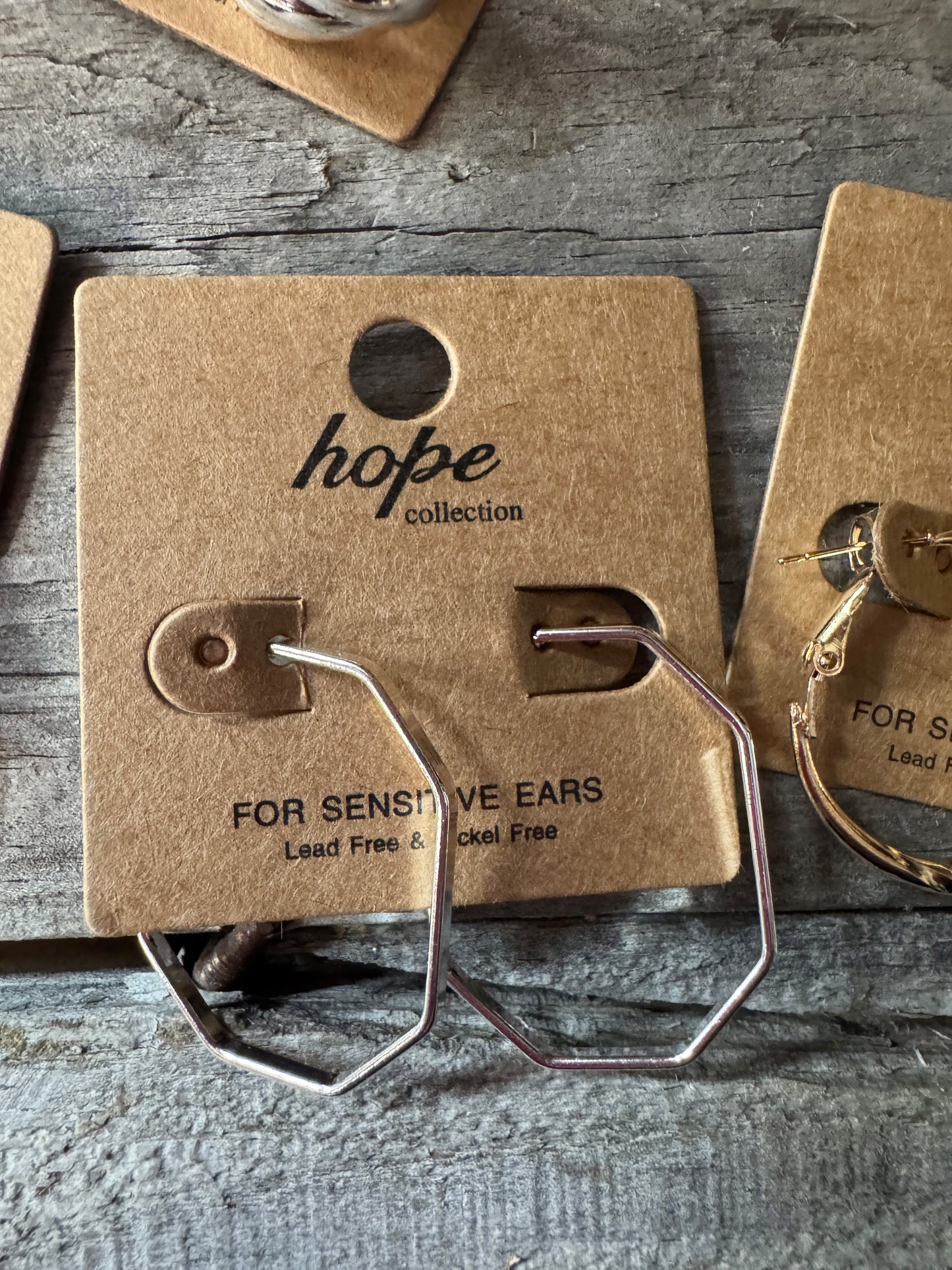Hoop, There It Is! Earring Collection