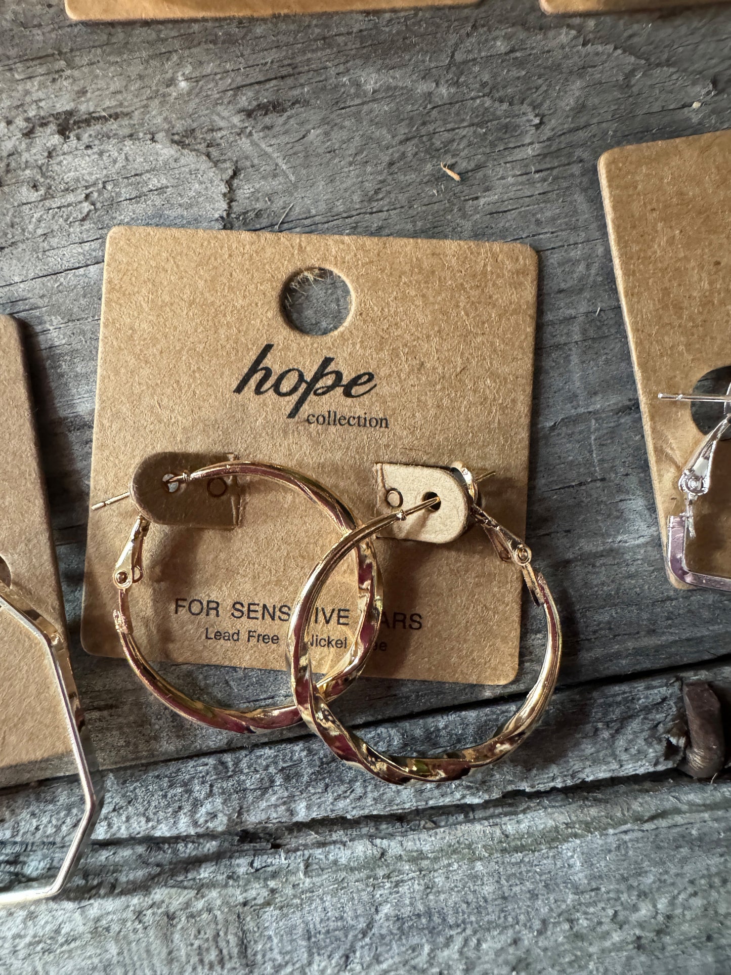 Hoop, There It Is! Earring Collection