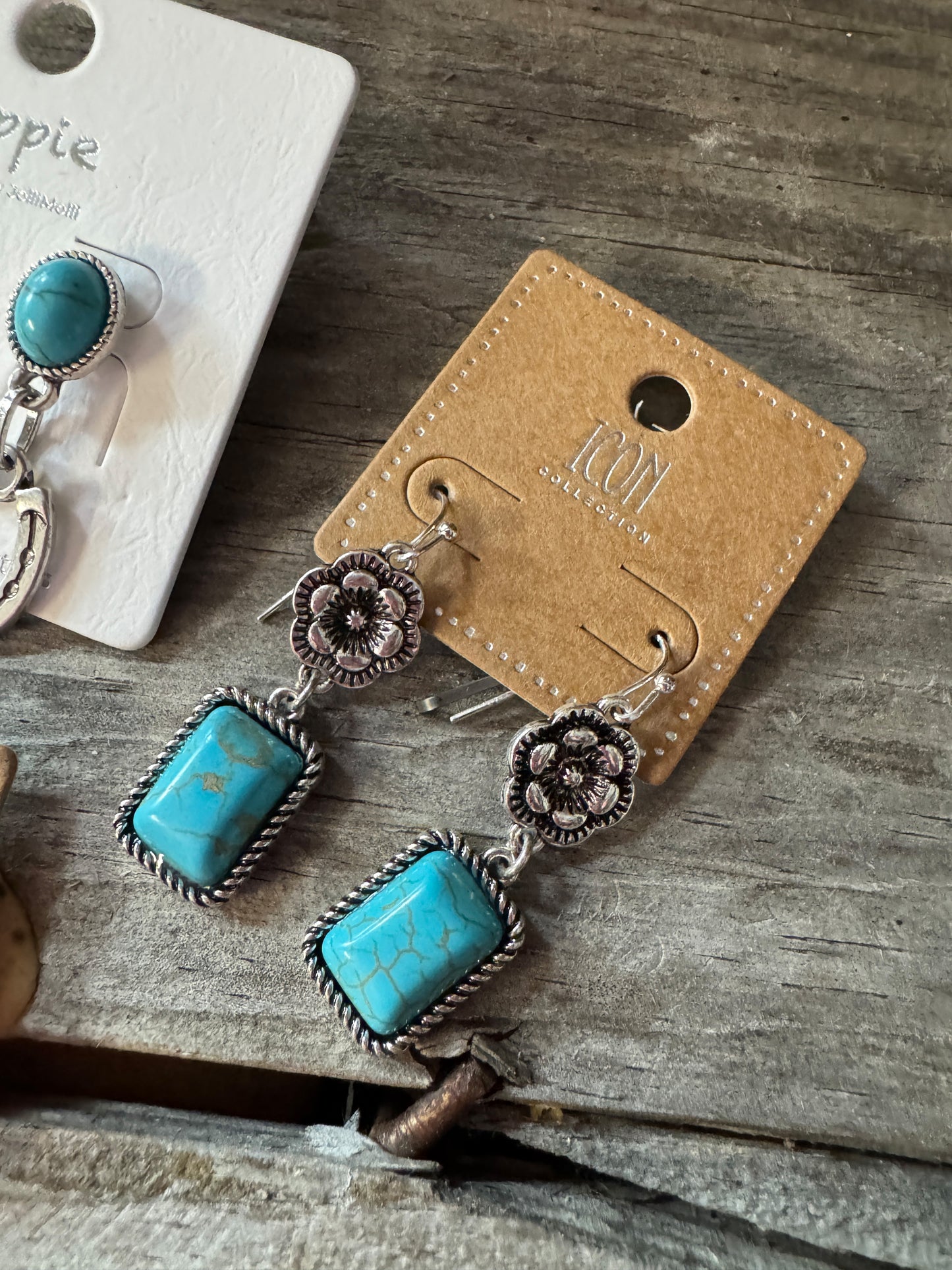Take Me Out West Earrings