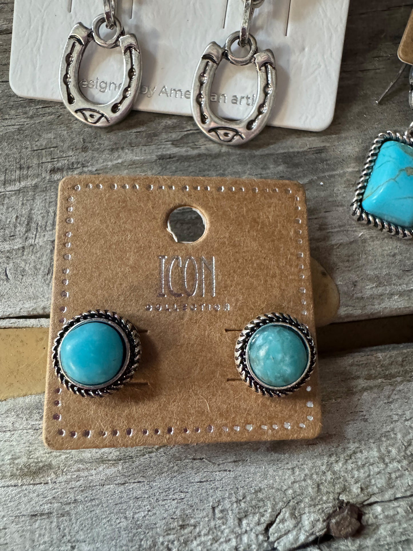 Take Me Out West Earrings