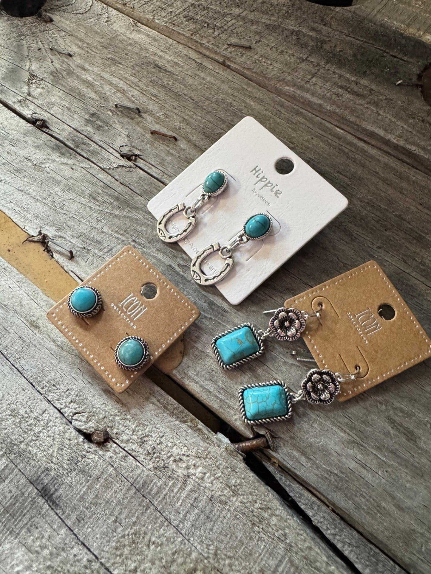 Take Me Out West Earrings