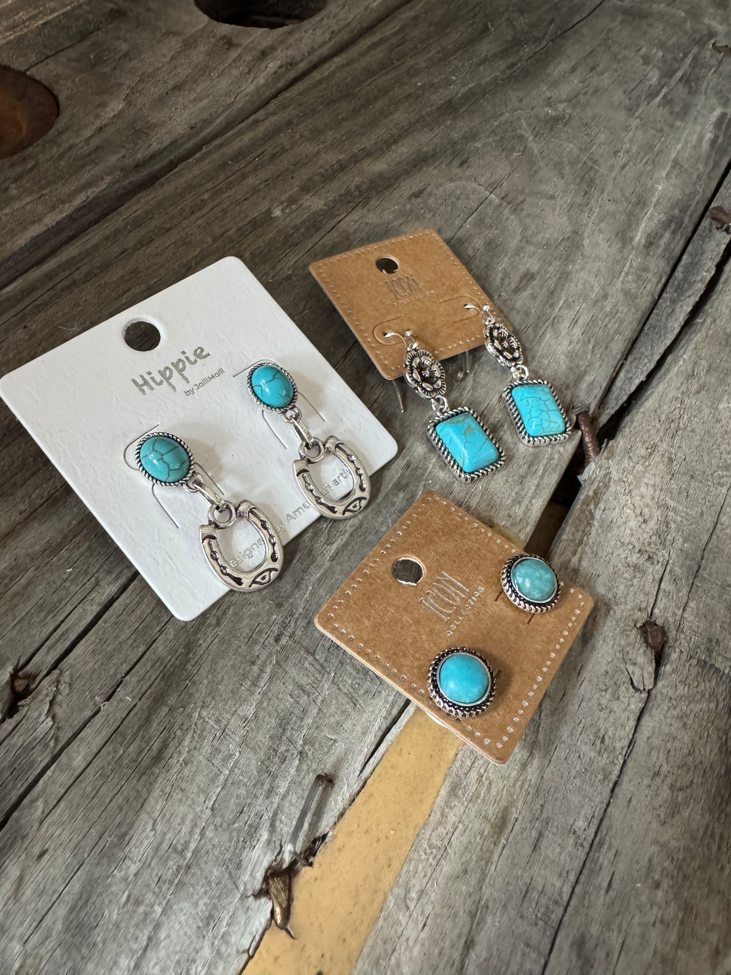 Take Me Out West Earrings