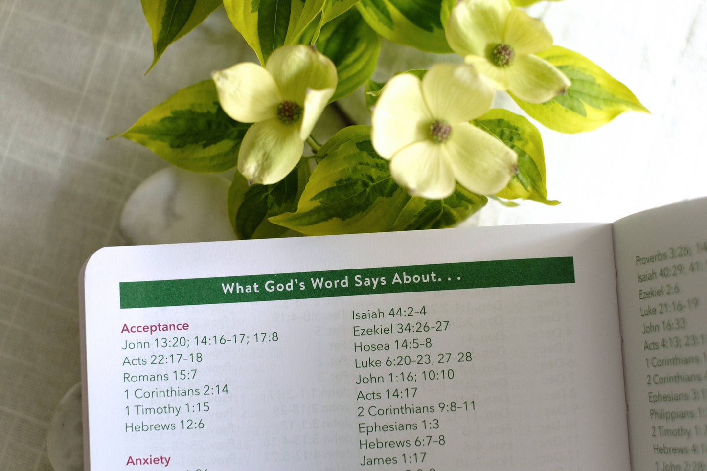 Read Through the Bible in a Year Planner – 2026 Edition