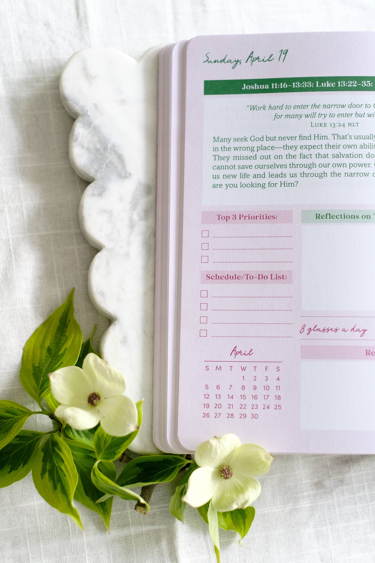 Read Through the Bible in a Year Planner – 2026 Edition