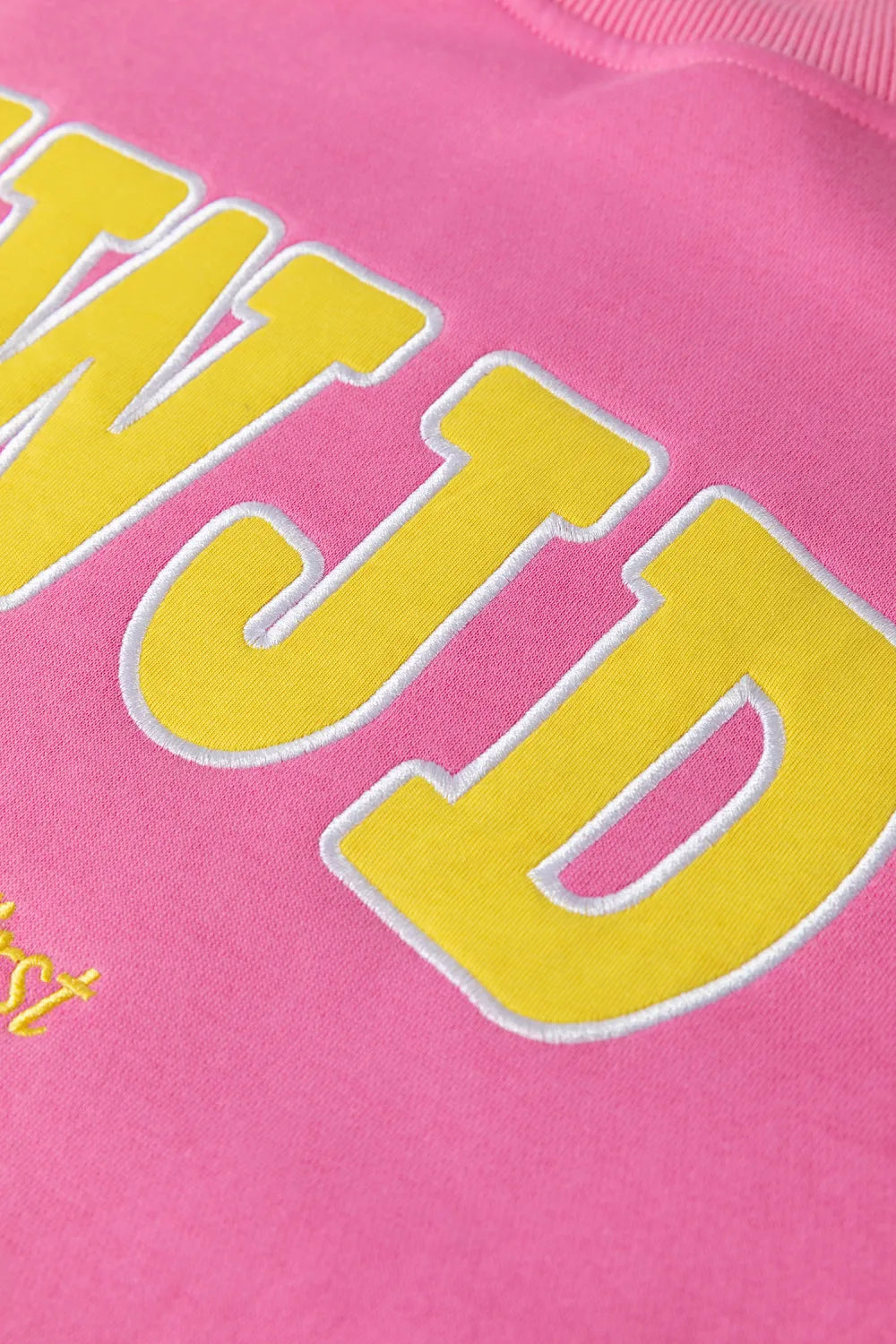 ~PREORDER~ What Would Jesus Do Embroidered Sweatshirt ~PREORDER~