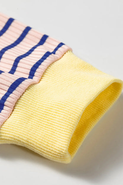 ~PREORDER~ Blue Stripe Contrast Long Sleeve Crew Neck Pullover Top ~PREORDER~