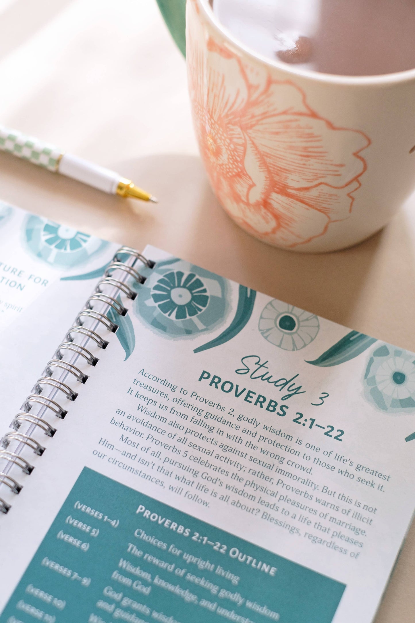 Proverbs All-in-One Bible Study | Living Wisely Scripture Study Guide