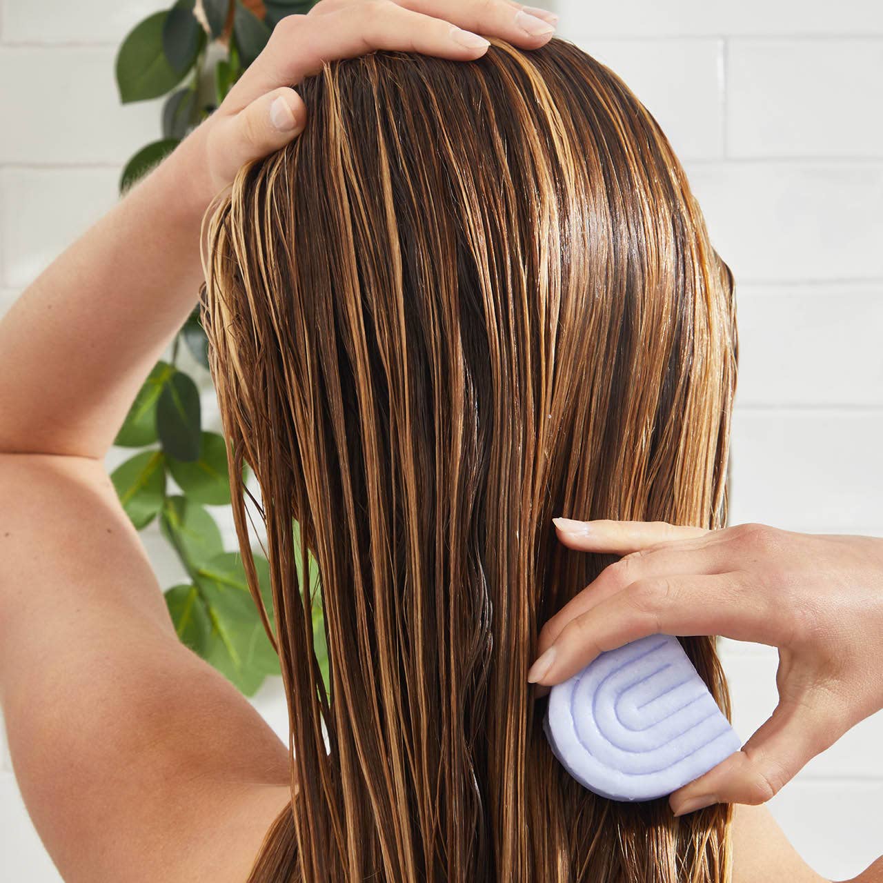 Purple Toning Shampoo & Conditioner Bar Combo for Color-Treated & Grey Hair by Kitsch