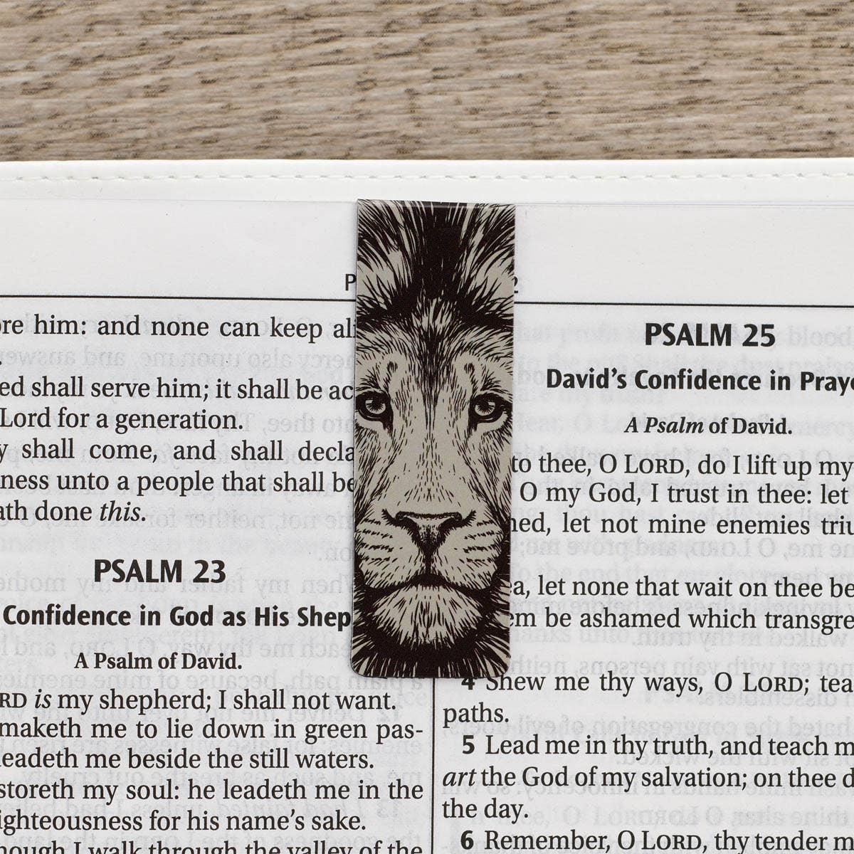 Strong and Courageous Magnetic Bookmark Set | Christian Bookmarks for Men