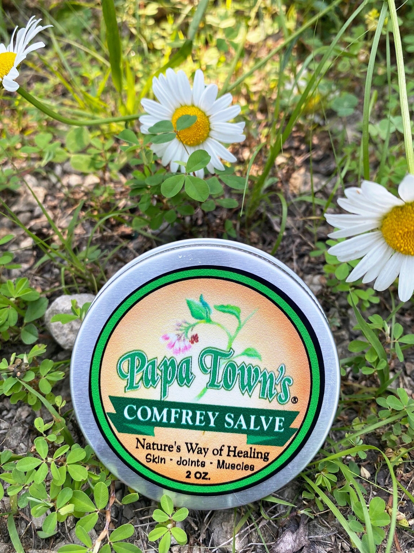 Papa Town's comfrey salve 2oz