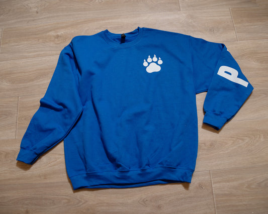 Princeton Tiger Nation Crewneck Sweatshirt – Spirit Wear Pullover