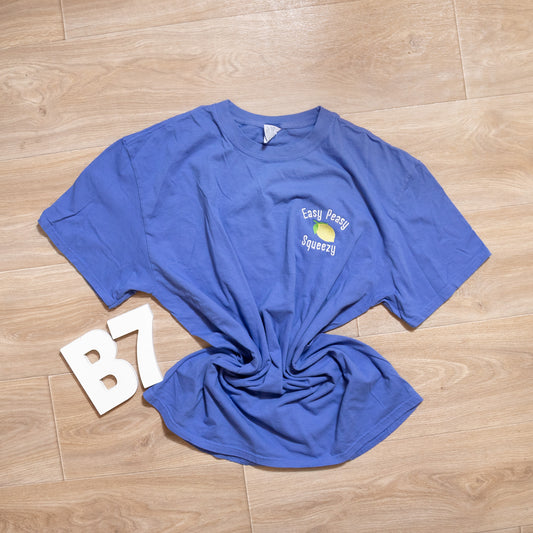 Easy Peasy Squeezy Embroidered Comfort Colors® Tee – Fun Citrus Graphic Shirt