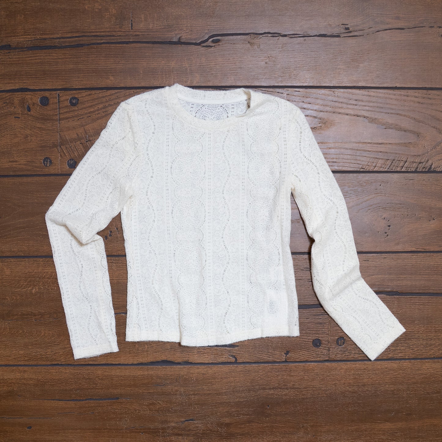 Champagne Lace Semi-Sheer Long Sleeve Top