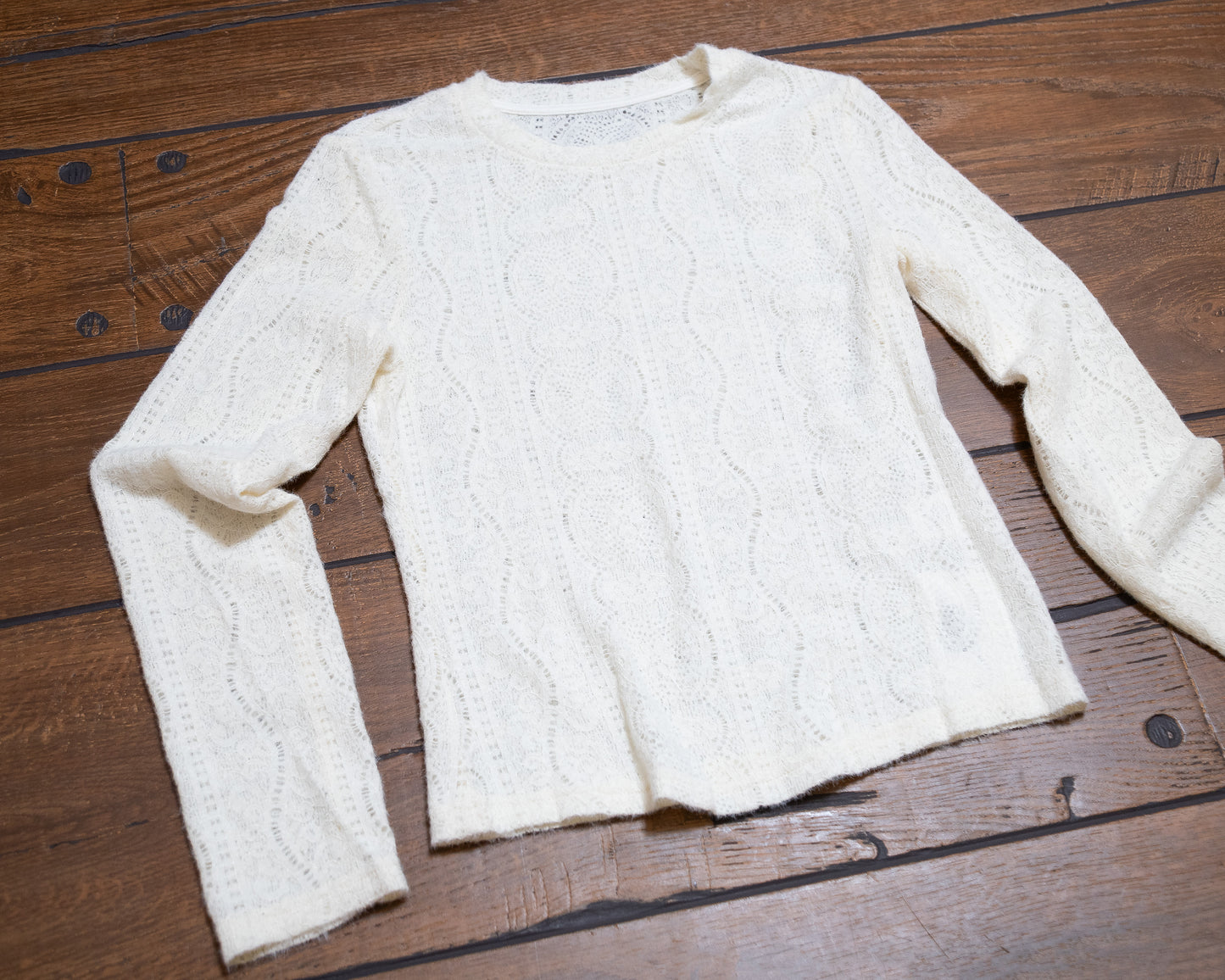 Champagne Lace Semi-Sheer Long Sleeve Top