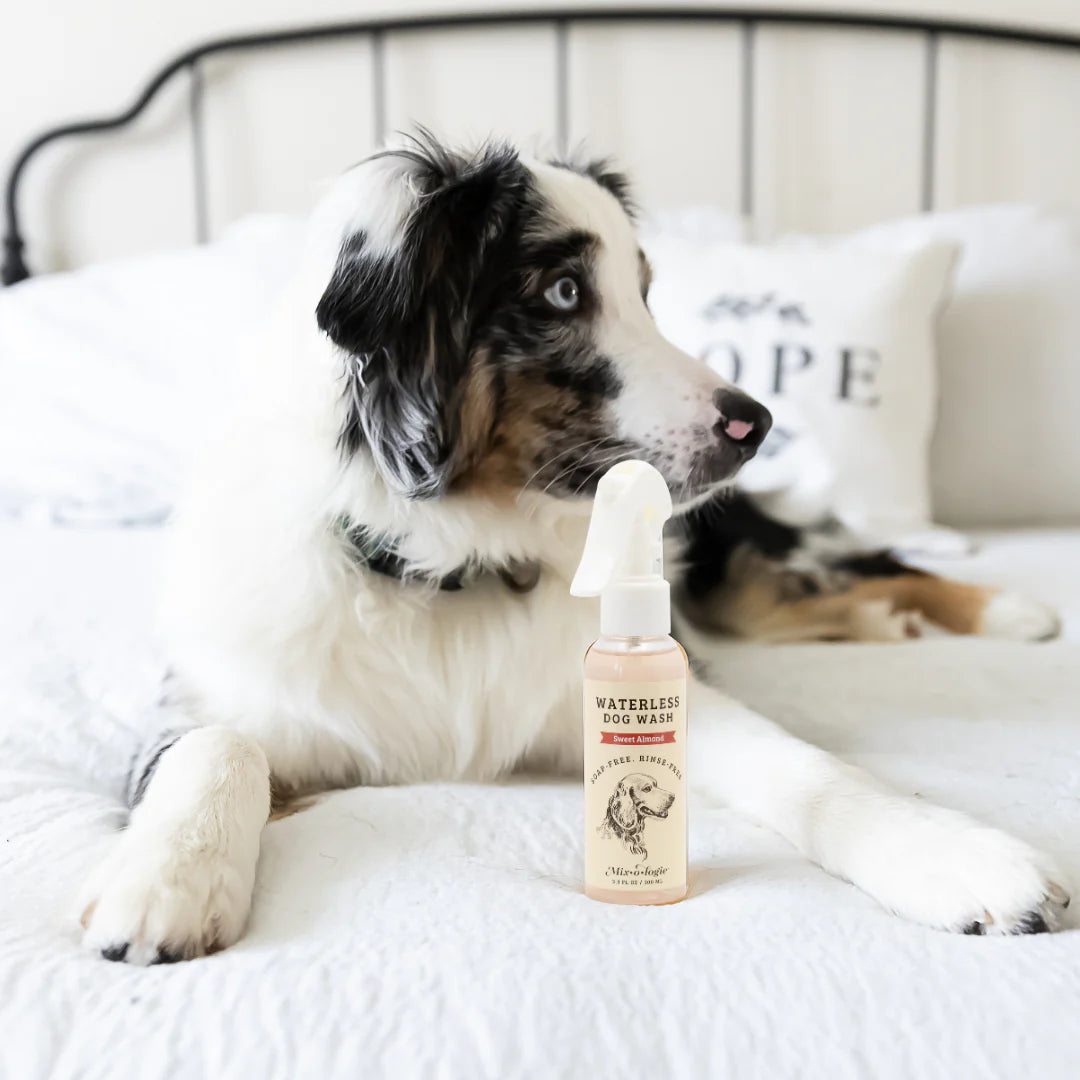 MIX•O•LOGIE Waterless Dog Wash | Rinse-Free Dog Refresh Spray