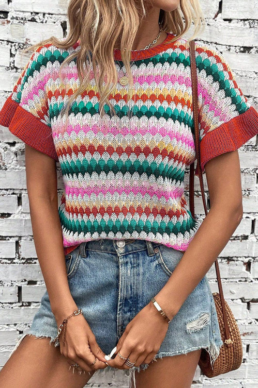 Trimmed Ruffle Sleeve Colorful Textured Sweater