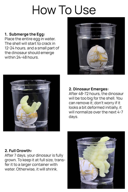 Mini Dinosaur Egg Water Growing & Hatching Toy – Squishy Stretch Dino Surprise