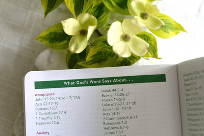 Read Through the Bible in a Year Planner – 2026 Edition