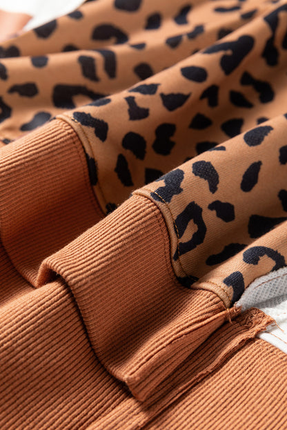 Wild Streak Color Block Sweatshirt