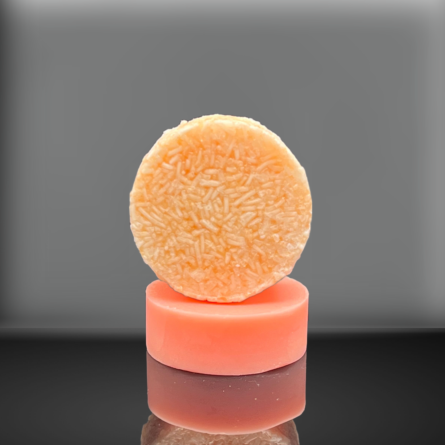 Sol Searcher Shampoo and Conditioner Bars